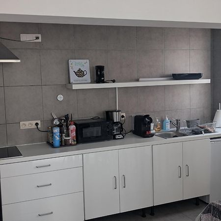 Appartement Spacieux Avec Parking Et Terrasse デ パンネ エクステリア 写真