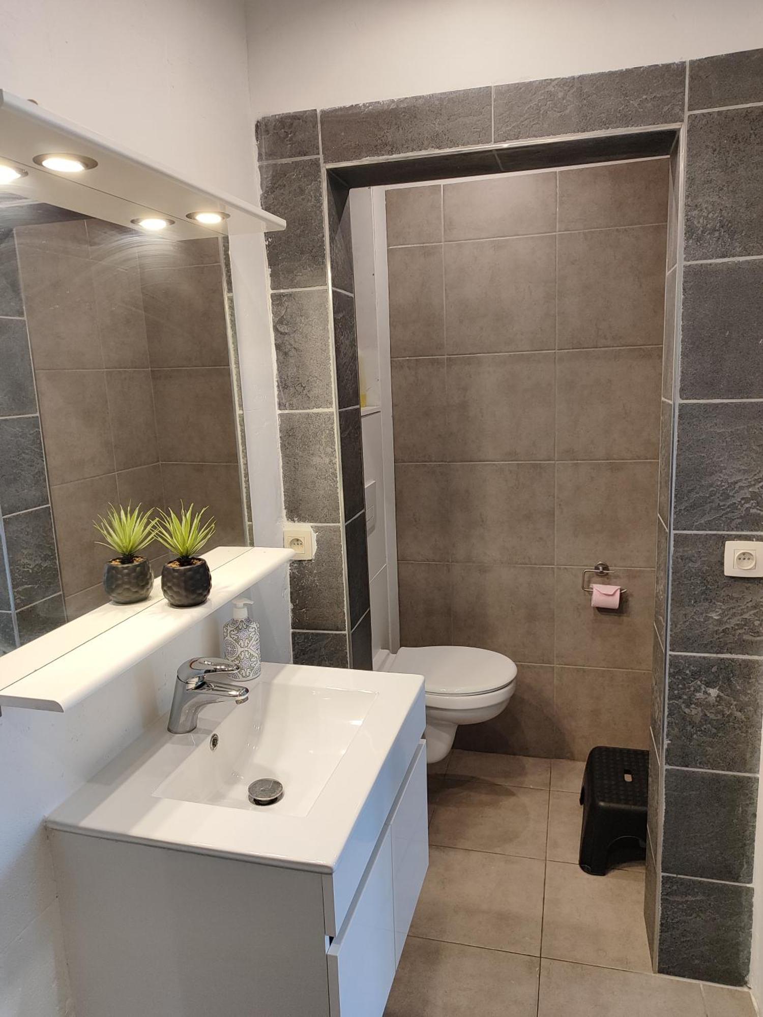 Appartement Spacieux Avec Parking Et Terrasse デ パンネ エクステリア 写真