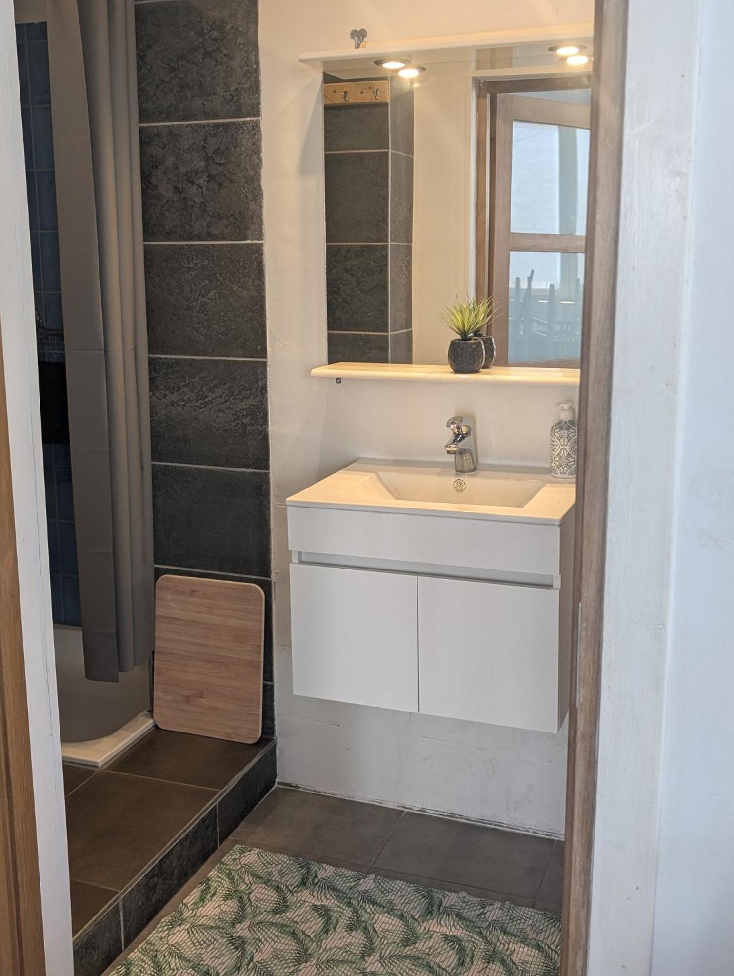 Appartement Spacieux Avec Parking Et Terrasse デ パンネ エクステリア 写真