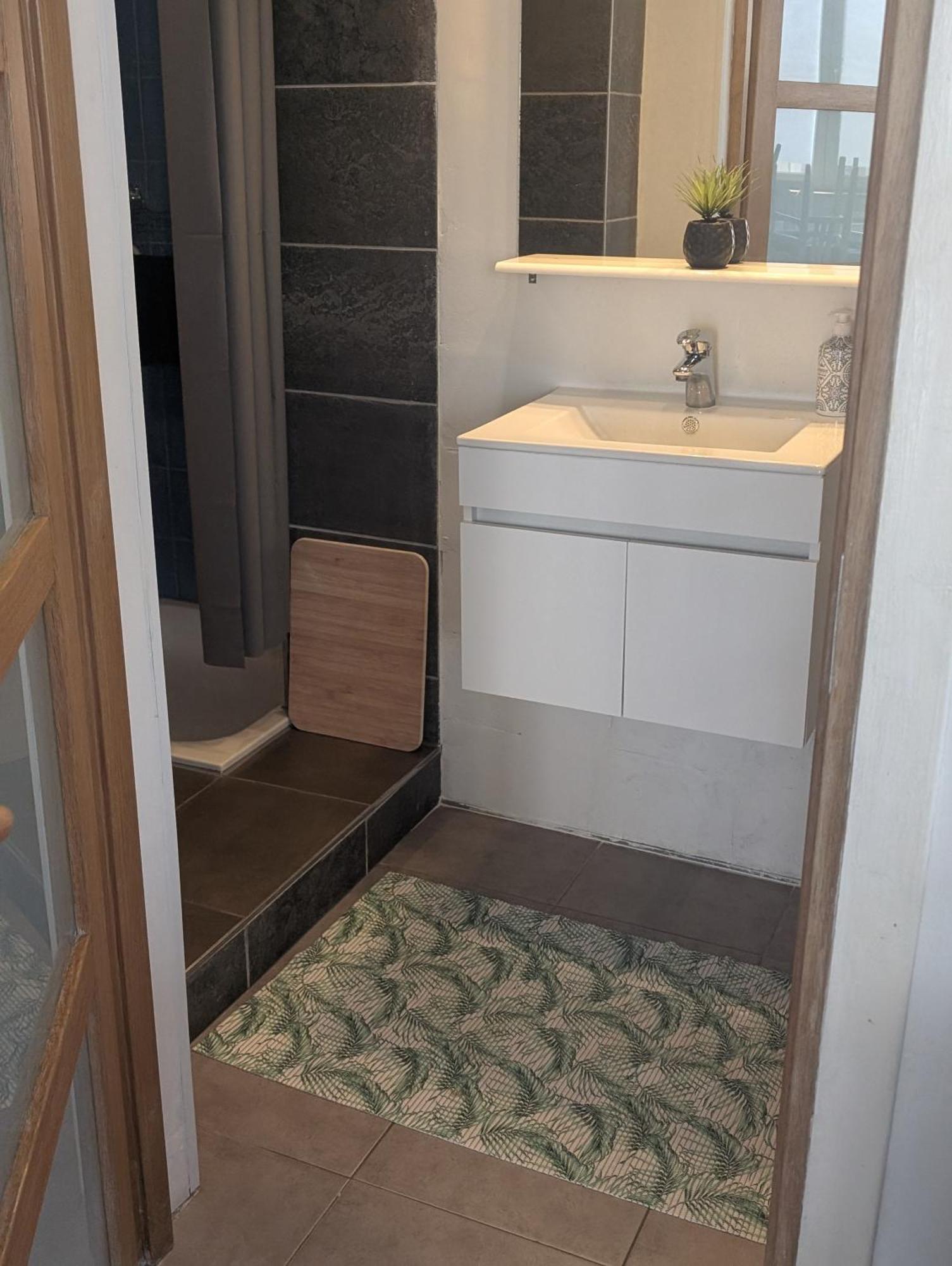 Appartement Spacieux Avec Parking Et Terrasse デ パンネ エクステリア 写真